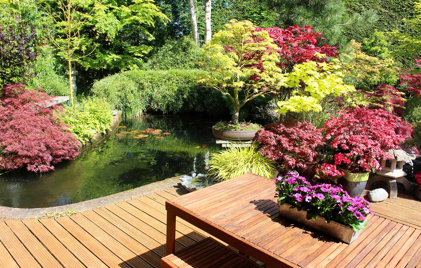 Blick auf eine Terrasse mit Gartenmöbel aus Holz und vielen Pflanzen drumherum